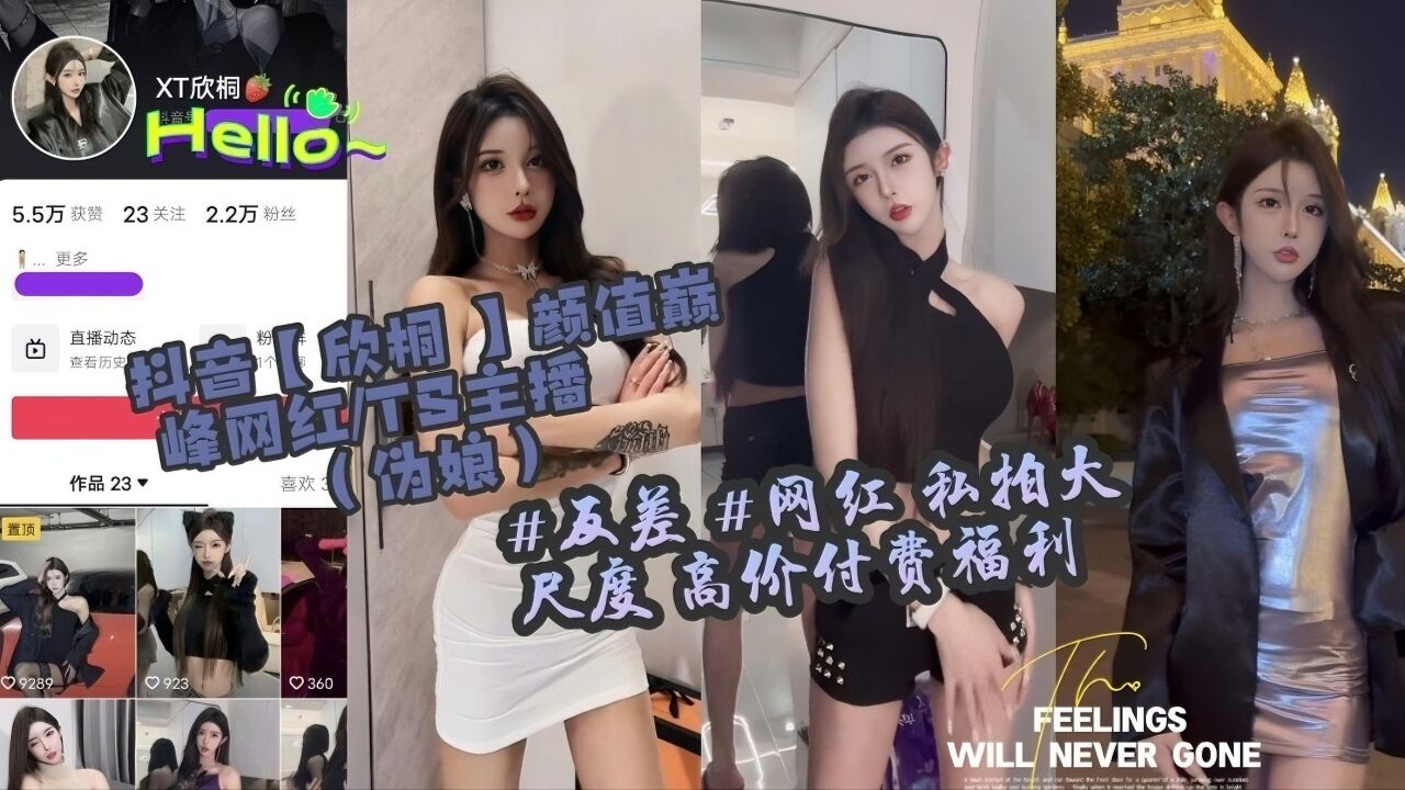 【网红泄密】反差表网红高阶付费福利